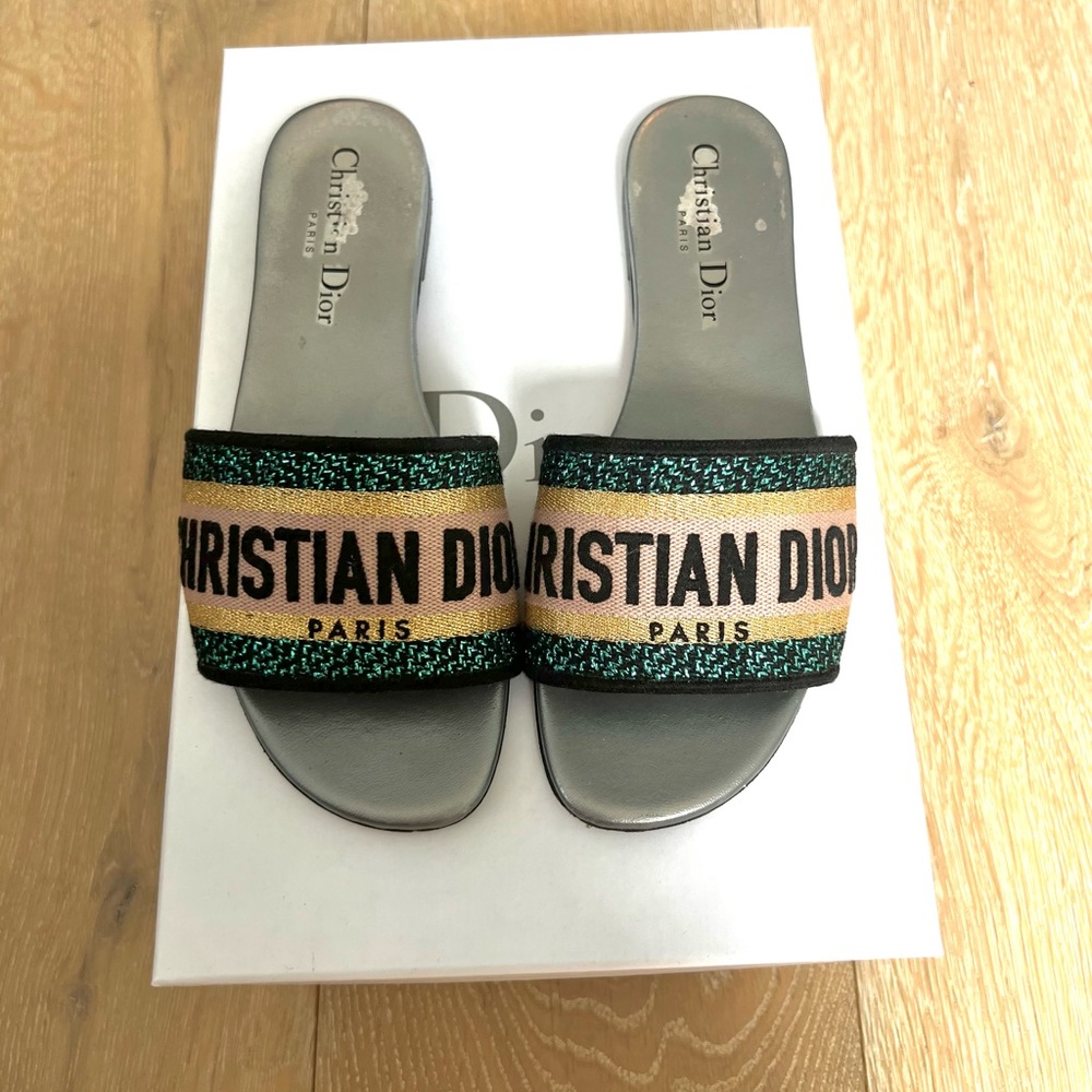 Christian Dior Dway slide